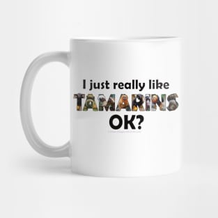 I just really like TAMARINS , ok? - wildlife oil painting word art Mug